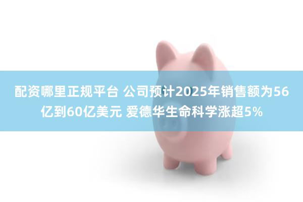 配资哪里正规平台 公司预计2025年销售额为56亿到60亿美元 爱德华生命科学涨超5%