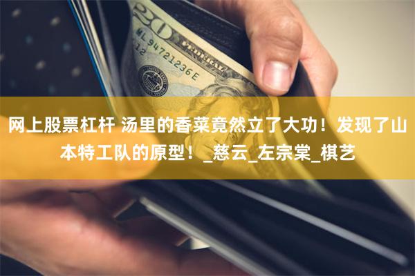 网上股票杠杆 汤里的香菜竟然立了大功！发现了山本特工队的原型！_慈云_左宗棠_棋艺