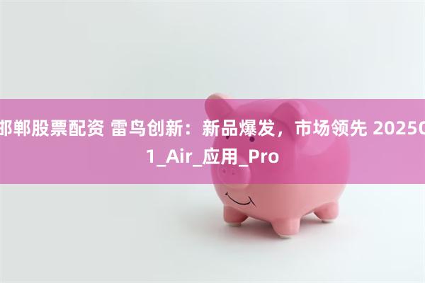 邯郸股票配资 雷鸟创新：新品爆发，市场领先 2025Q1_Air_应用_Pro
