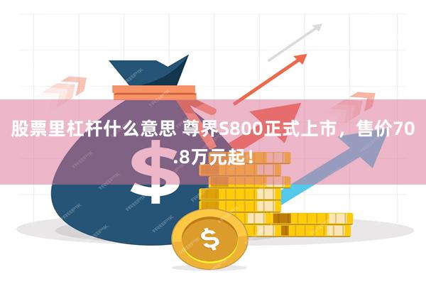 股票里杠杆什么意思 尊界S800正式上市，售价70.8万元起！