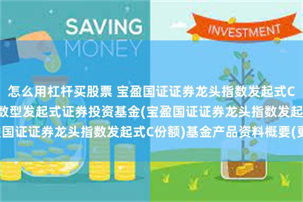 怎么用杠杆买股票 宝盈国证证券龙头指数发起式C: 宝盈国证证券龙头指数型发起式证券投资基金(宝盈国证证券龙头指数发起式C份额)基金产品资料概要(更新)