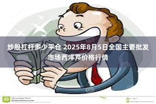 炒股杠杆多少平仓 2025年8月5日全国主要批发市场西洋芹价格行情