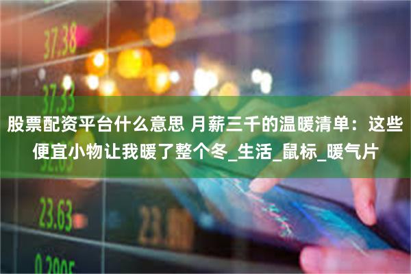 股票配资平台什么意思 月薪三千的温暖清单：这些便宜小物让我暖了整个冬_生活_鼠标_暖气片