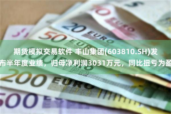 期货模拟交易软件 丰山集团(603810.SH)发布半年度业绩，归母净利润3031万元，同比扭亏为盈