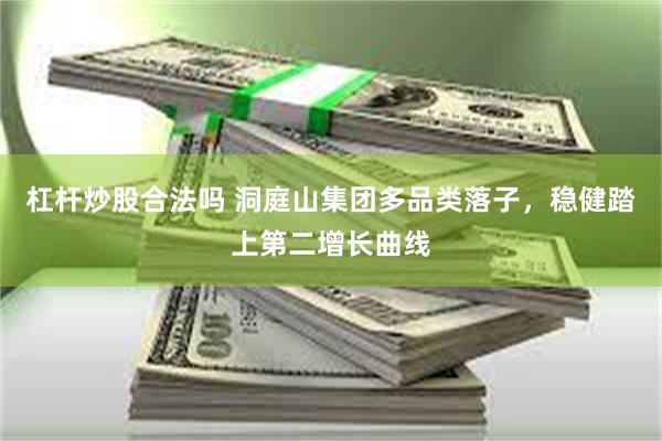 杠杆炒股合法吗 洞庭山集团多品类落子，稳健踏上第二增长曲线
